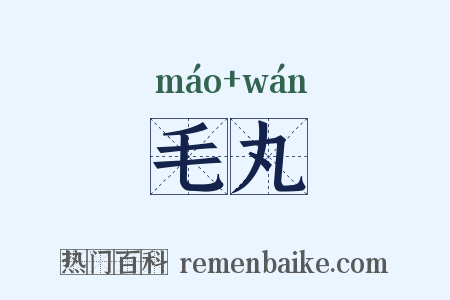 毛丸是什么意思的图片